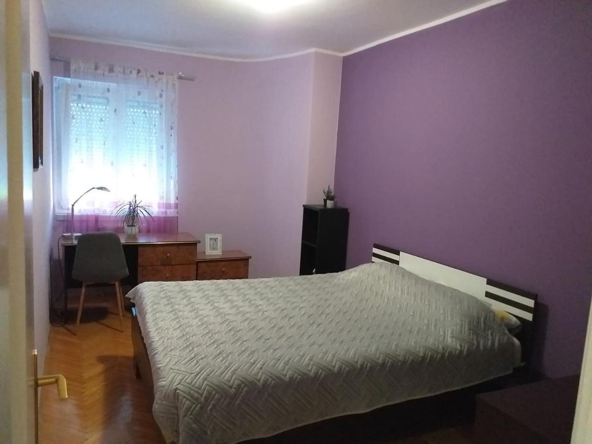 Apartment City Center Újvidék Kültér fotó